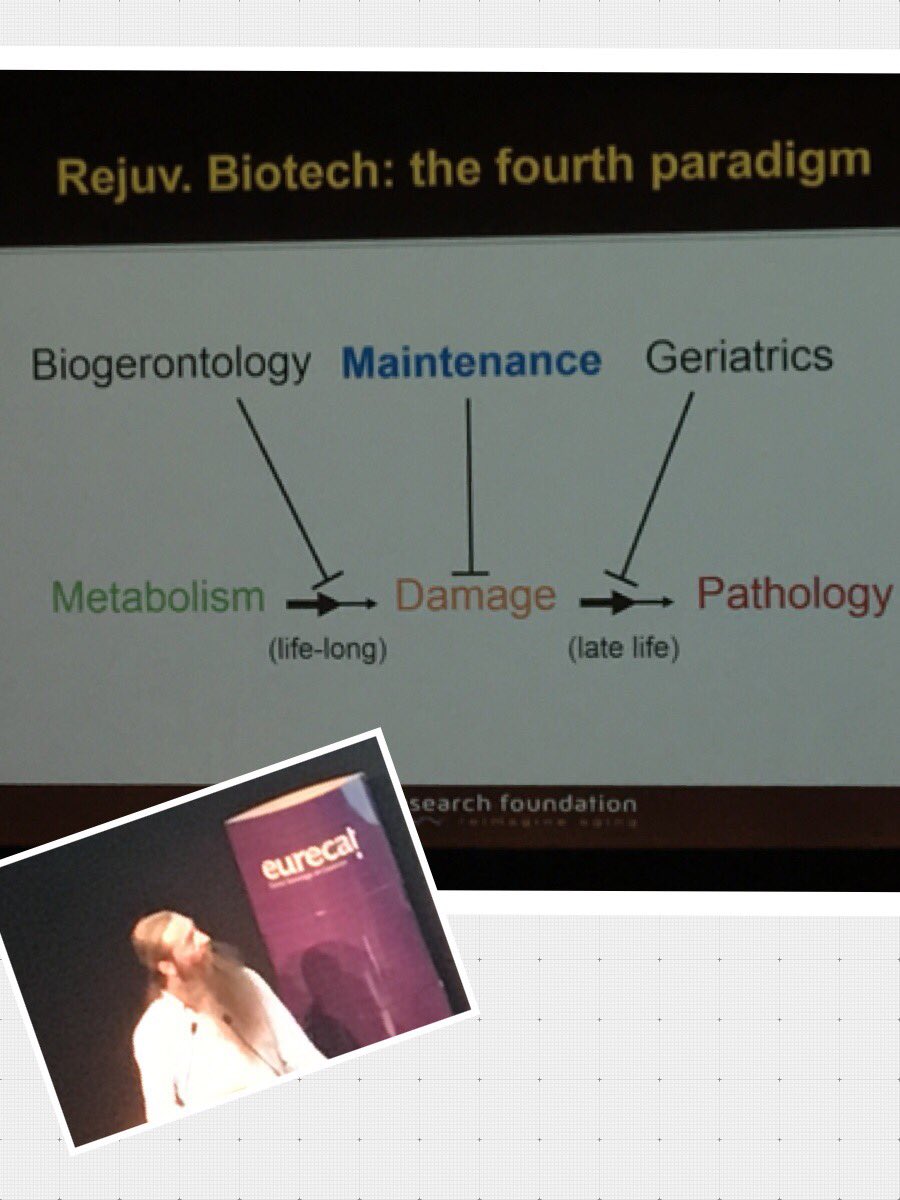 Andmmar1's tweet image. #techlongevity Abrey de Grey - understanding how damage occurs in body and preventative maintenance for a healthy life