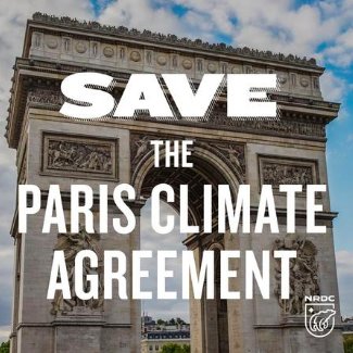 ResistanceItaly's tweet photo. The world is telling @realDonaldTrump to #KeepUSinParis! Our future depends on #ClimateAction today. Confirm the #ParisAgreement @RomeWomen https://t.co/sQjoK0PhTy