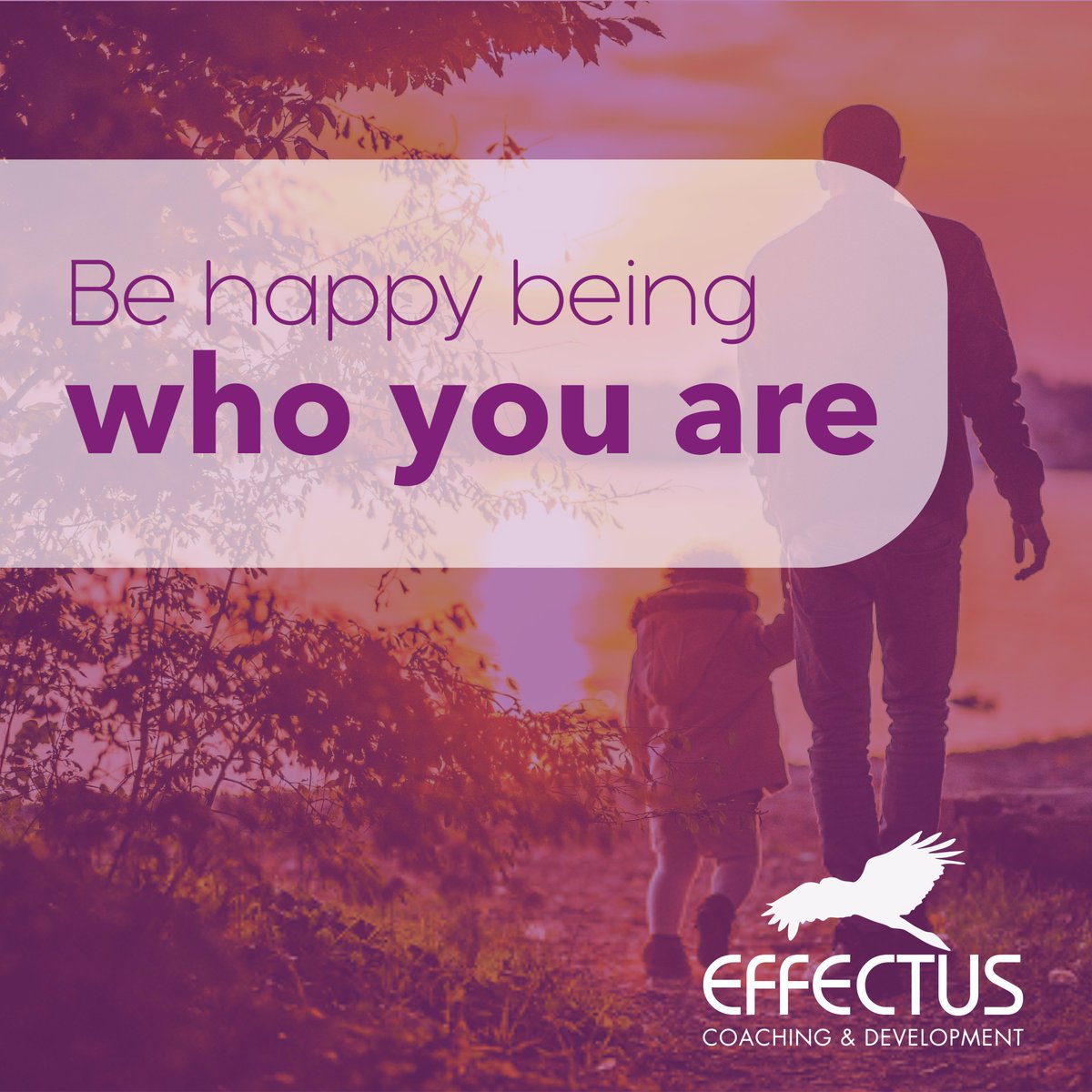 Andrew Holland tweet media