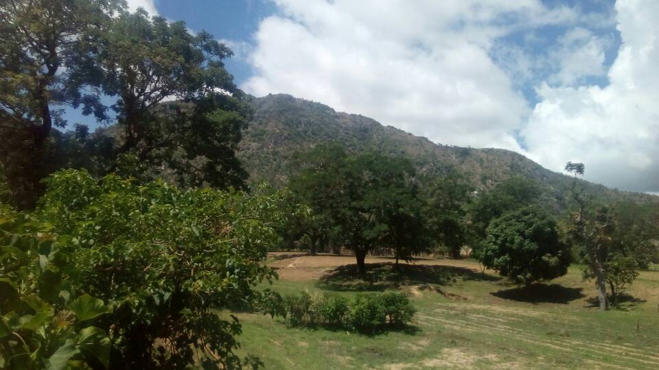 MadeinTaraba's tweet photo. Daffe village, Kotsensi Ward, Zing LGA #TarabaState 
#NaturesGiftToTheNation #MadeinTaraba #TarabatotheWorld  

📸📷Solomon Audu https://t.co/oUnhascUqX