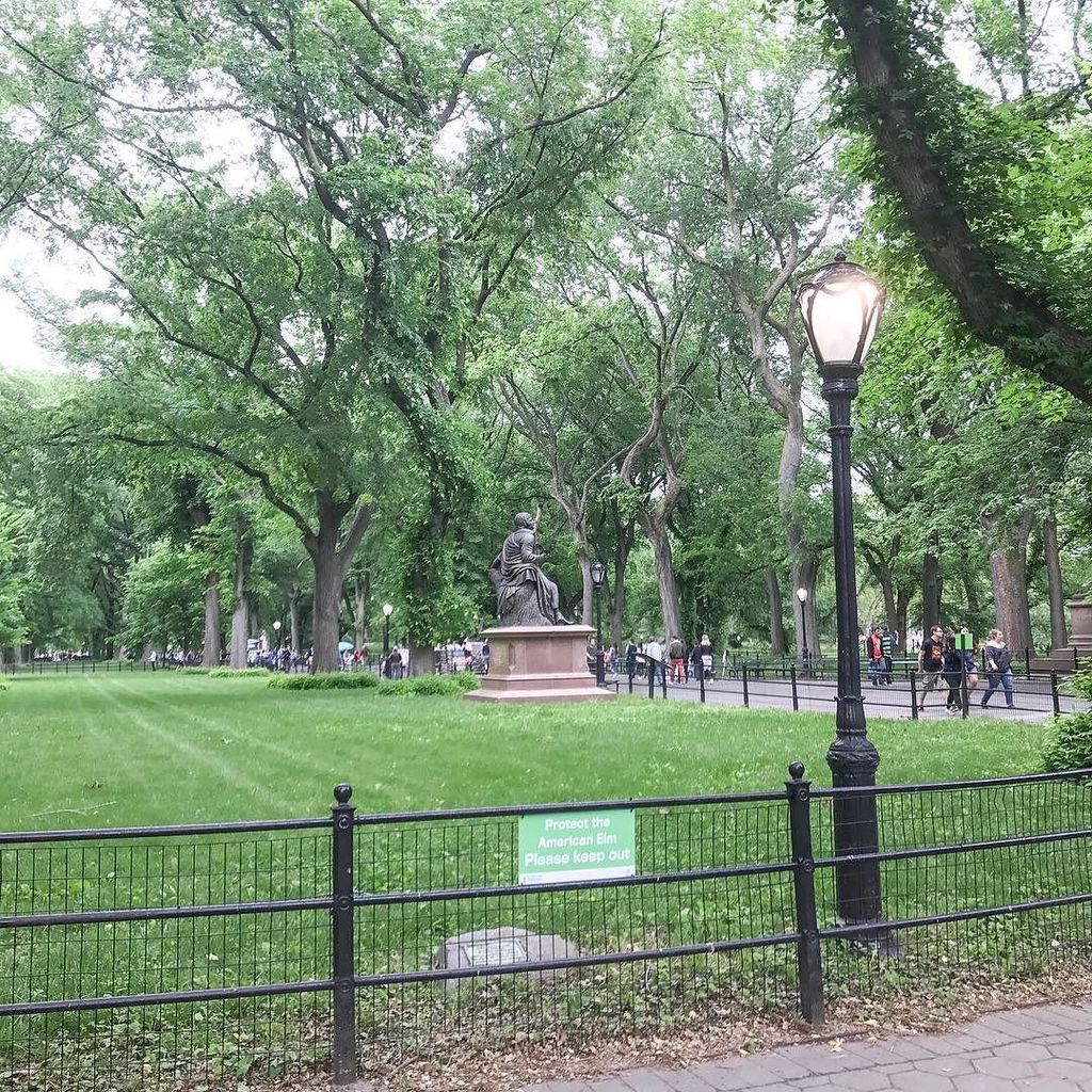 CPSightseeing's tweet photo. M00D 🍃😍 #centralpark #wanderlust #themall #travel #sightseeing #explore #nyc #ny #newyorkcity #newyork #centralpar… https://t.co/60qiBlT8kF https://t.co/OclaHjonhK