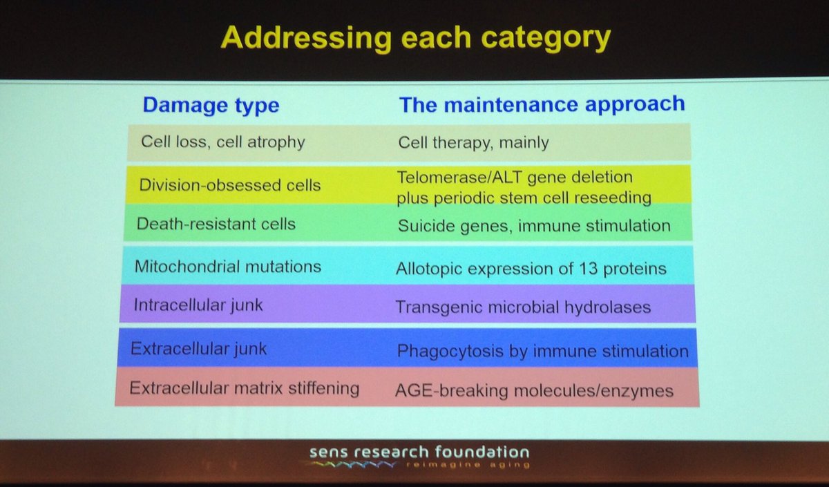 adrianafreitas's tweet image. At #Techlongevity event @aubreydegrey @senstweet
We work on health to cure damage #preventive maintenance