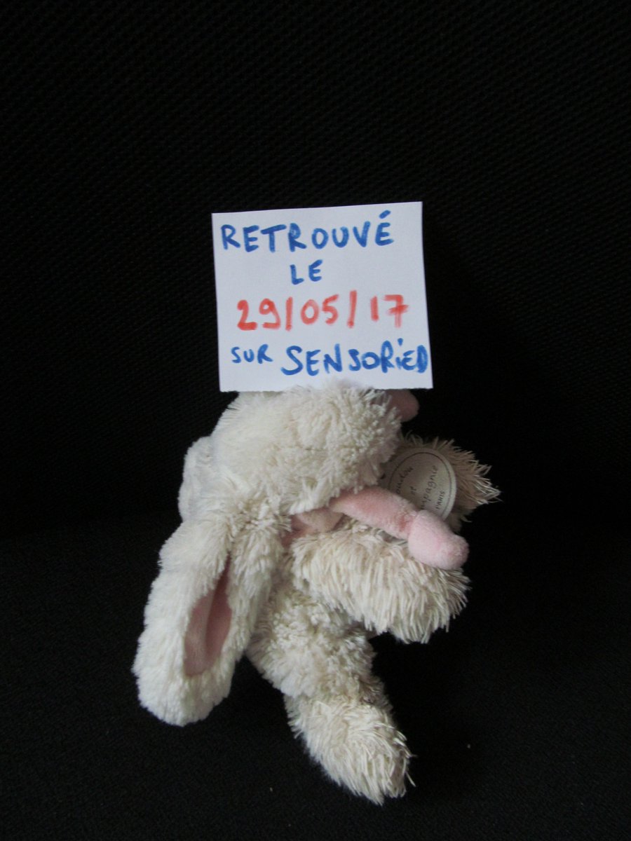 SensoRied's tweet photo. [DOUDOU PERDU] En manque de câlins, le lapin de chez @doudouetcie attend que son meilleur ami vienne le récupérer à la Maison de la Nature. https://t.co/JUHBjUfZZl