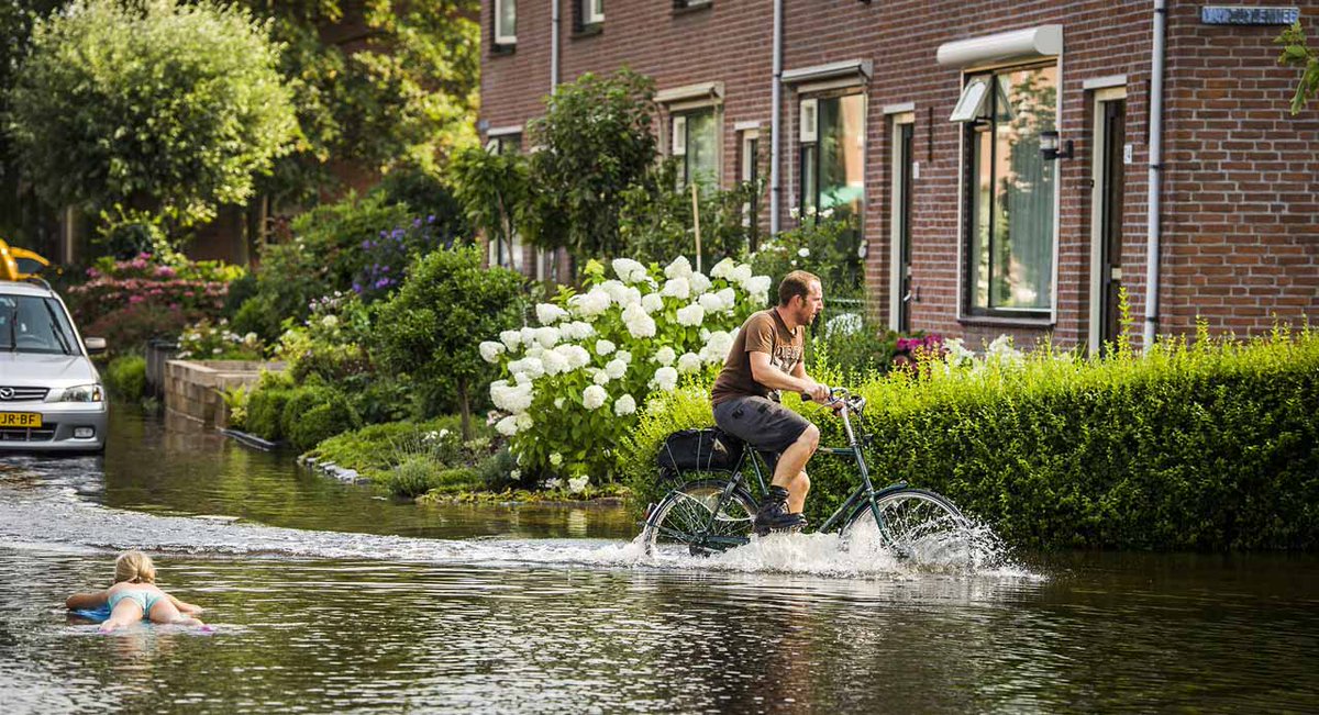 vitalestad's tweet photo. Klimaatadaptief inrichten van je openbare ruimte. Bespaar 90% vd kosten voor herstelschade! LCOR 15 juni #Hilversum https://t.co/itcd3qHQlU https://t.co/LuYXhN1eif