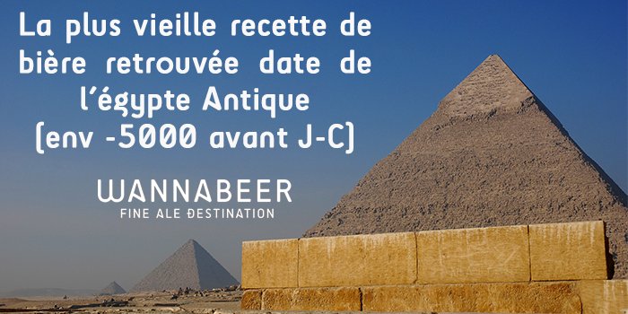 wewannabeer's tweet photo. La bière était la boisson nationale de l'Égypte Antique, connue sous le nom de zythum, qui signifie « vin d’orge » #wannabeer #bière #facts https://t.co/CLBS0ygXco