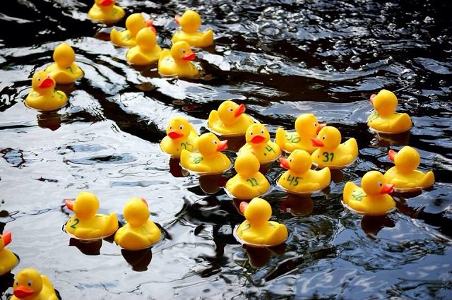 HelmondCentrum tweet media