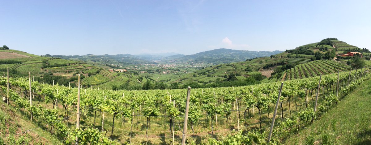 SoaveHRL's tweet photo. #soavehrl #soave #SoaveWine https://t.co/hvcnW7UU4D