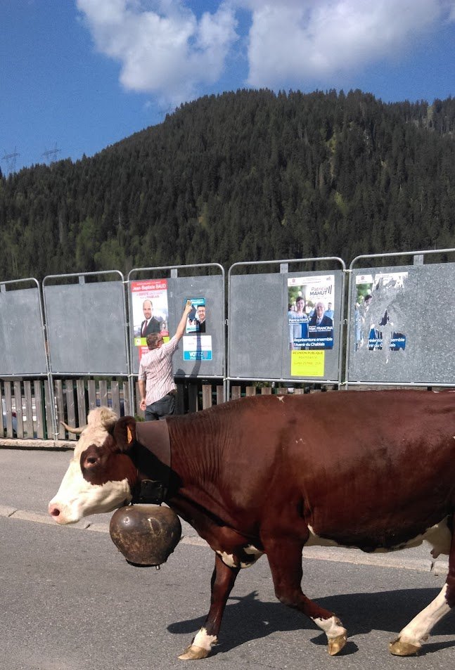 FrontPopChab's tweet photo. Séance collage d'affiches au soleil à Saint-Paul, #Bernex, #Vinzier, #Larringes, #Féternes, #Champanges et la Vallée d'#Abondance. :) https://t.co/HPl6QkwkKF