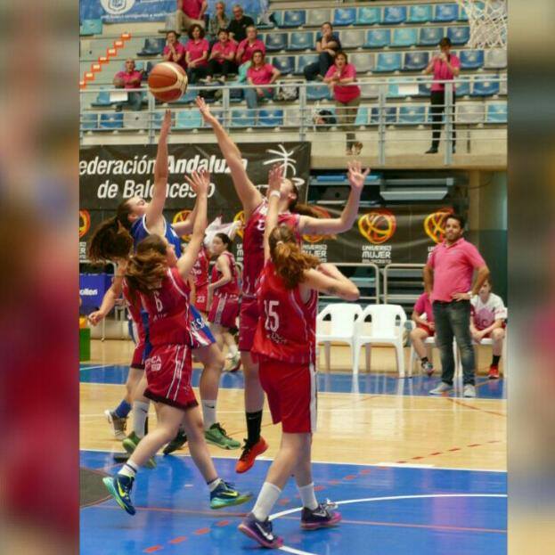sergiosado's tweet photo. Sira Hisado Santos #11 Base @CPMiralvalle @FExB #CEBCF17
@baloncestofeb @GIGANTESJunior
@CunaTalentos @Estadio_Norte https://t.co/UdxXSmz1E4