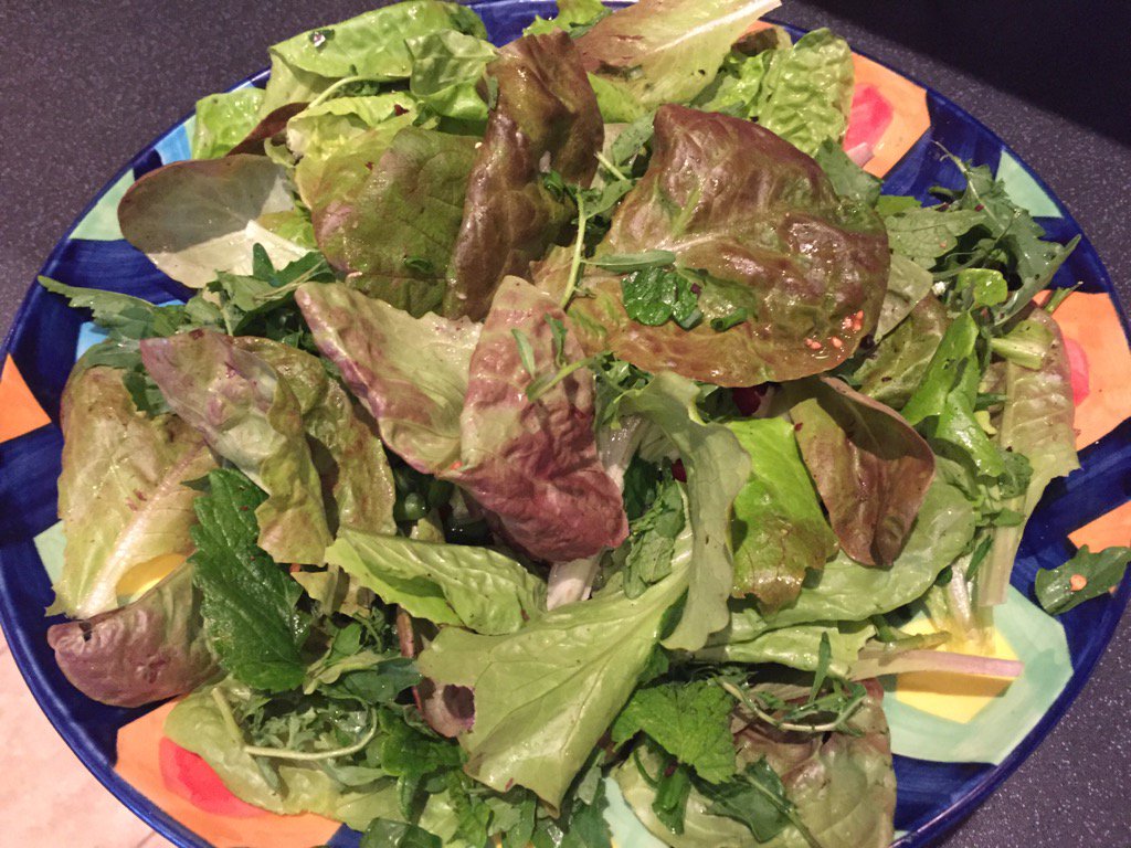 GuyAyling's tweet photo. First salad from @LlandoveryColl garden - lettuce, rocket, mint, spring onion @LocalFoodHuw @SusFoodTrust #tasty https://t.co/23g2uNs4BR