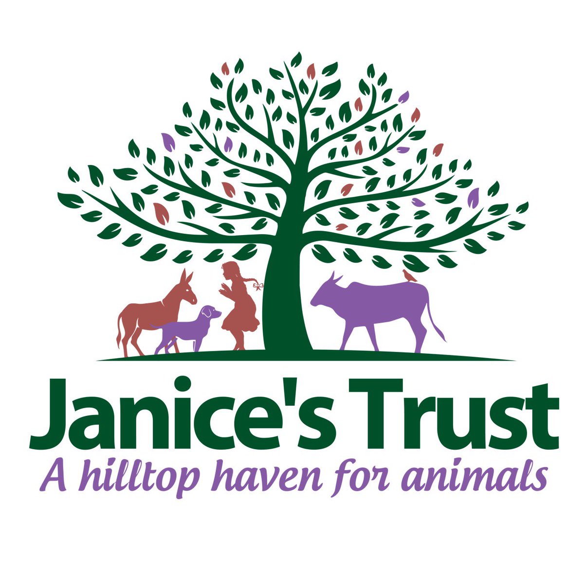 Food With Benefits tweet media