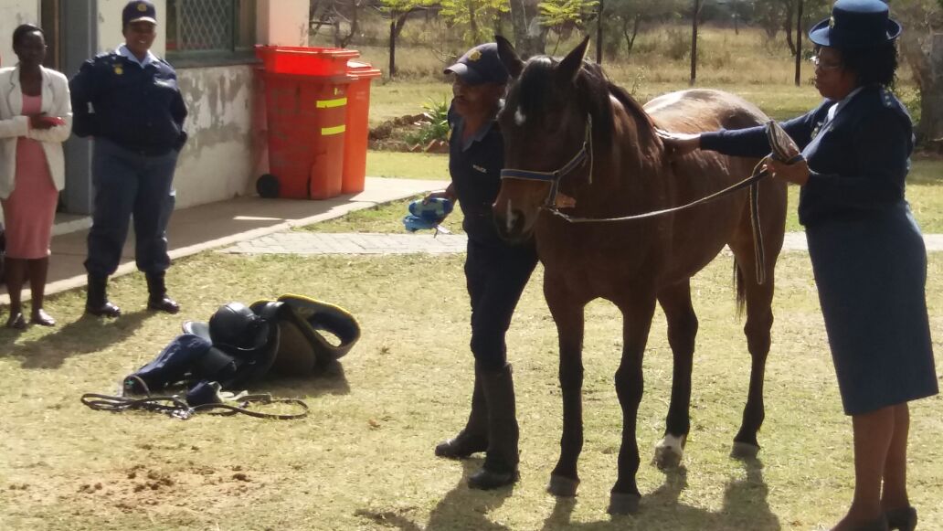 SAPoliceService's tweet photo. #sapsLIM #GirlChild2017 Learners briefed about the role of #SAPS #MountedUnits & #K9's in support of the operational force in #FightCrime ME https://t.co/nNNy6d2xSX