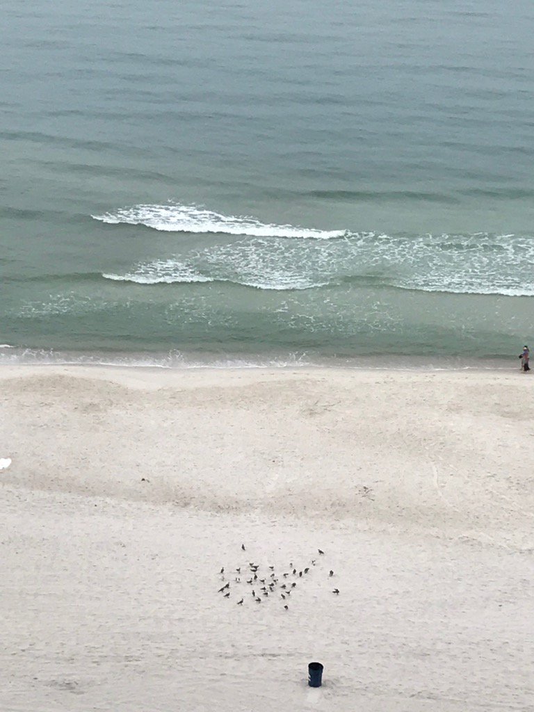 Beautiful morning in creation!