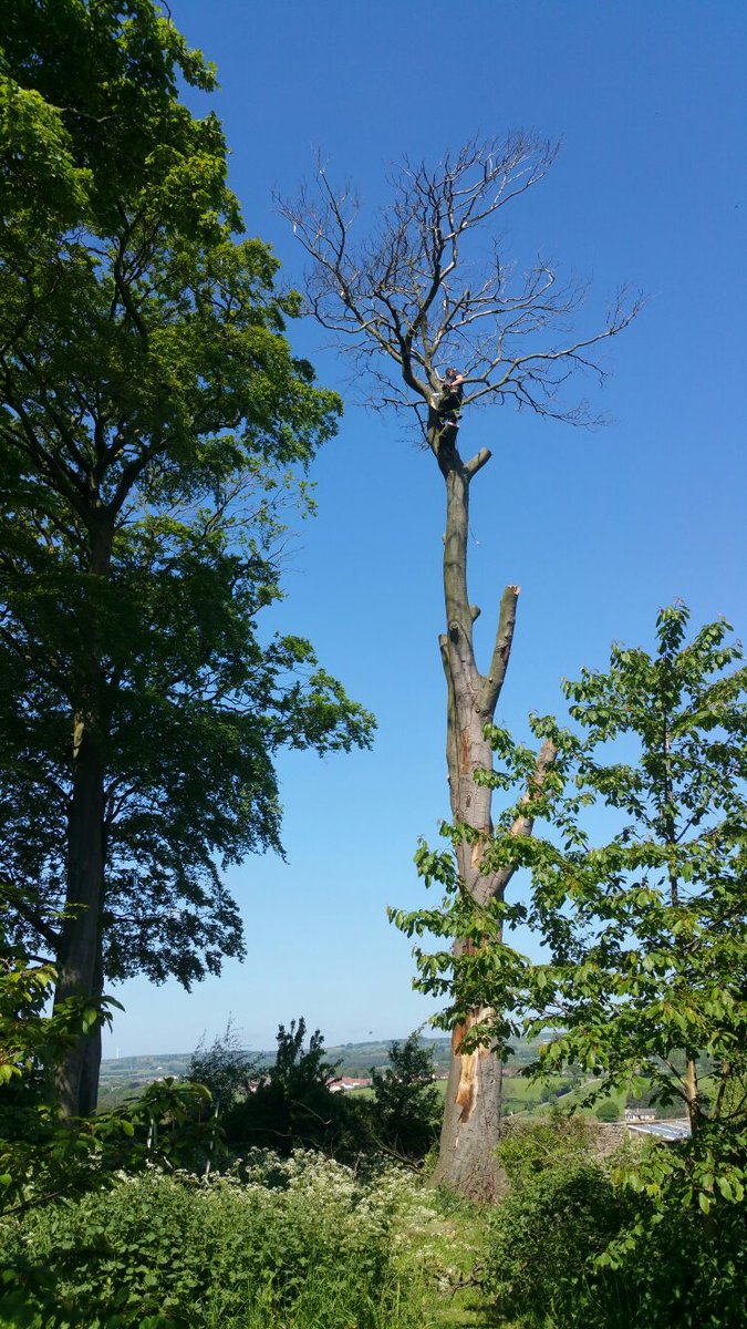 These dead beaches are an absolute joy to tidy up, any sarcasm detected is defintenatly intentional lol.