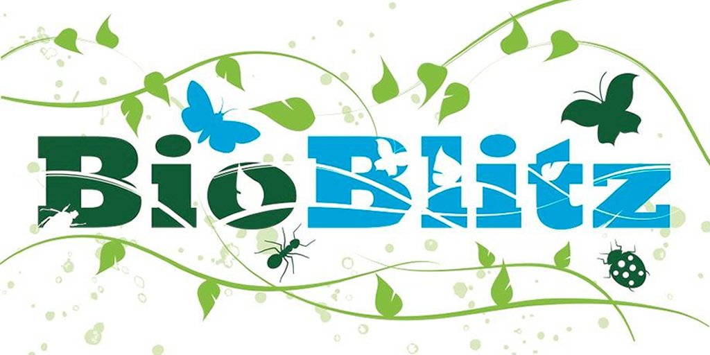 unisouthampton's tweet photo. Are you ready for this year's #BioBlitz events? Book your places now for next week: https://t.co/joMFN9yppS @SotonBioBlitz https://t.co/1aKdmM6134