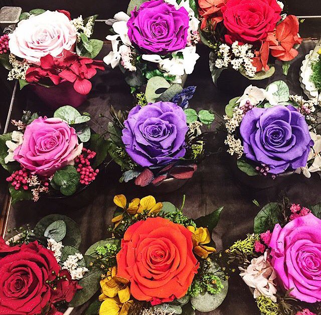 Endura Roses on Twitter "Only EnduraRoses can give you perfectly