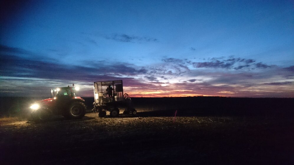 Gnowangerup is really putting on a show for our trials team tonight #alliterationalways #plant17