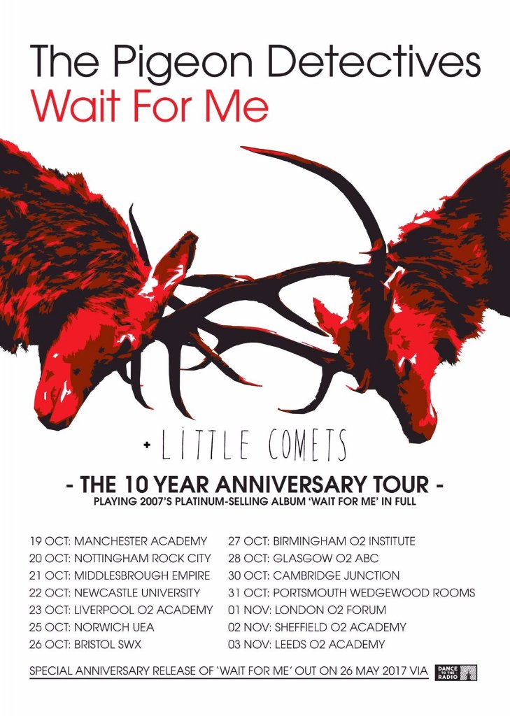 KStacey007's tweet photo. @pigeonsofficial Get in! https://t.co/Axj9PmZv1Q