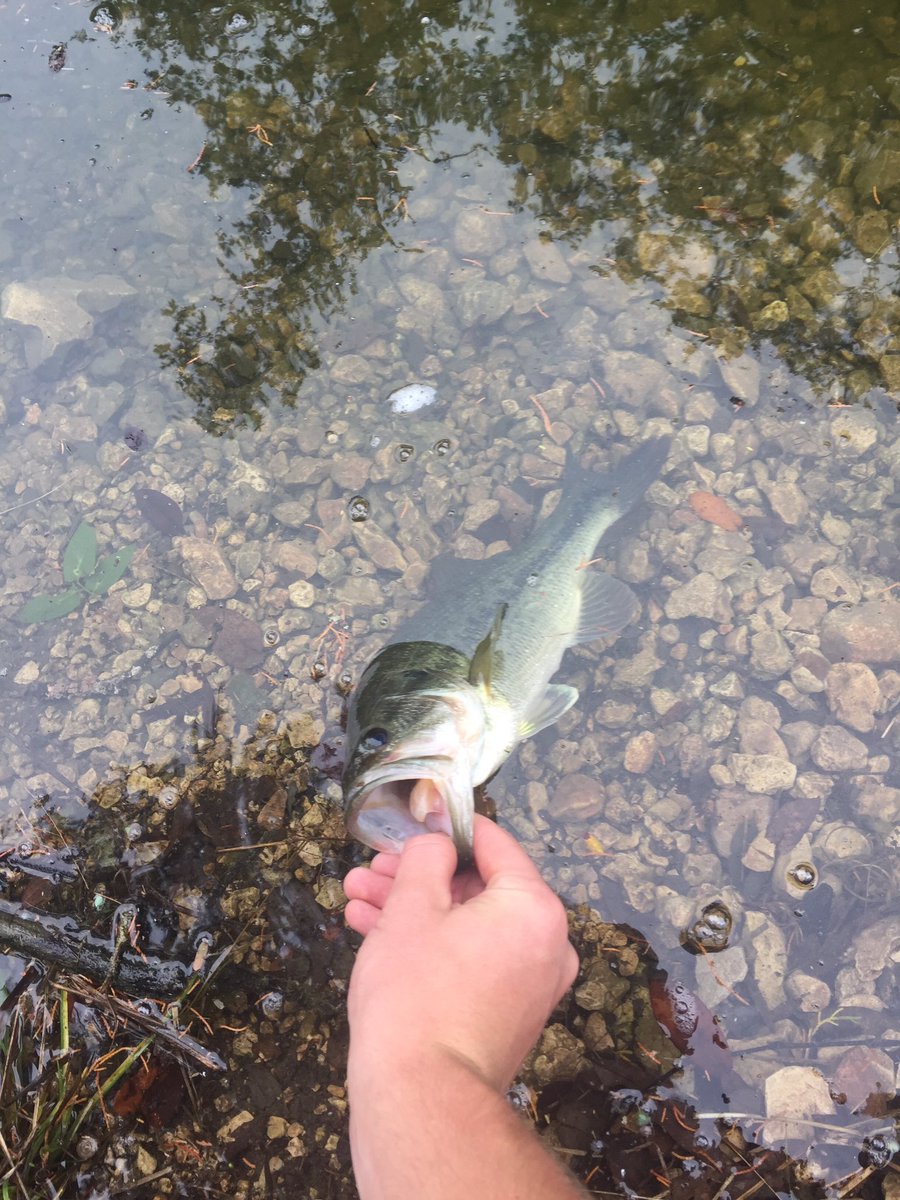 TXBassLife's tweet photo. Couple small ones yesterday 🎣 https://t.co/YFyWC4mwDN
