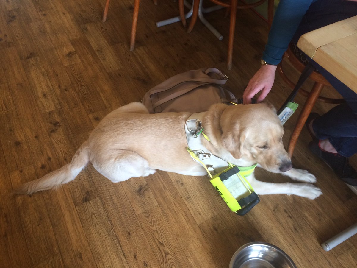 DasherRetiredGD's tweet photo. Thanks to all at Cafe Sez in Ledbury for making me so welcome. Mum enjoyed her coffee too. #GuideDogsWelcome https://t.co/85ZNhXSvNp