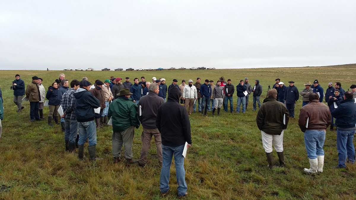 Hoy 6 grupos CREA del norte visitan la Estación Experimental Glencoe de <a href="/INIA_UY/">INIA URUGUAY</a>