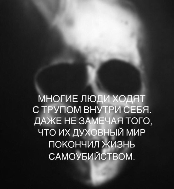 Алина Малкина (@malkinalinka) on Twitter photo 