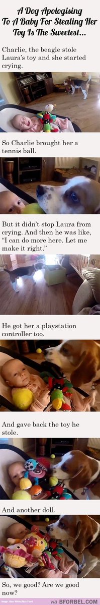 bryanbrtltt's tweet image. This made me laugh.