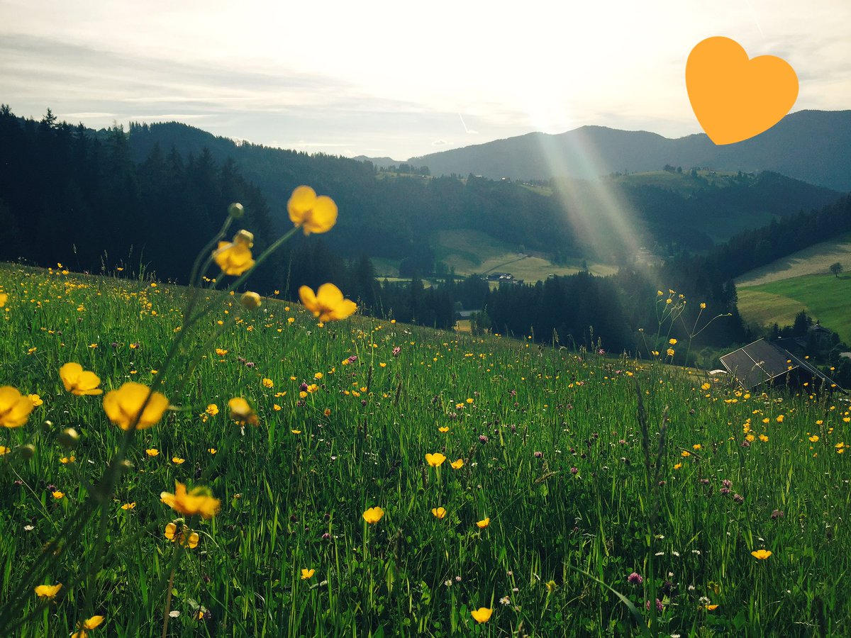 AltZau's tweet image. Beautiful places in Altenmarkt! 👍 #altzau #altenmarkt #salzburgersportwelt #salzburgerland #naturelovers #themountainiscalling #thehappynow