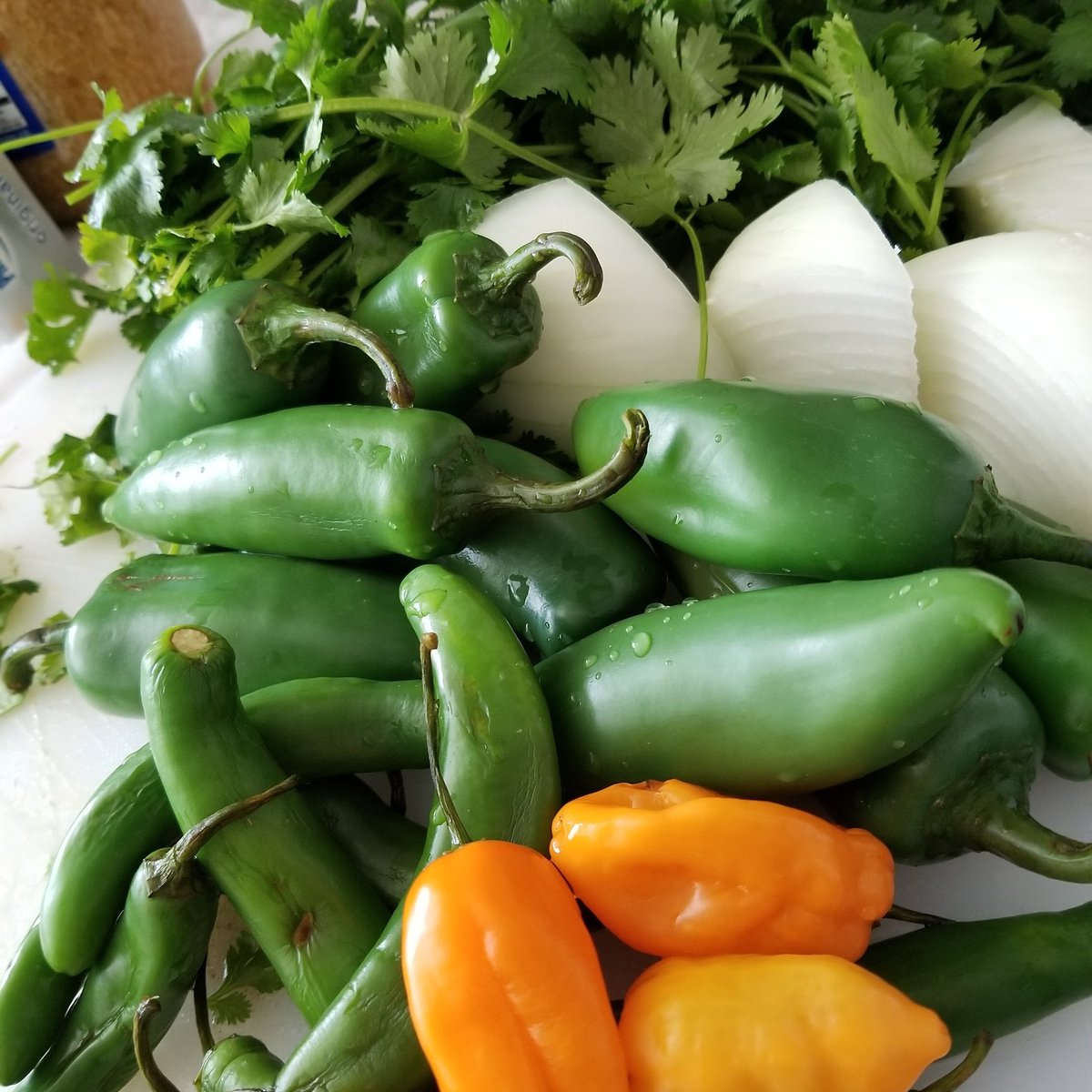 ClosetAuctions's tweet photo. ADD A LITTLE SPICE IN YOUR LIFE! #closetauctions #food #tacotuesday #fit #wellness #newportbeach #chili #datenite #motivation #travel #love https://t.co/ELv7PU0KUt