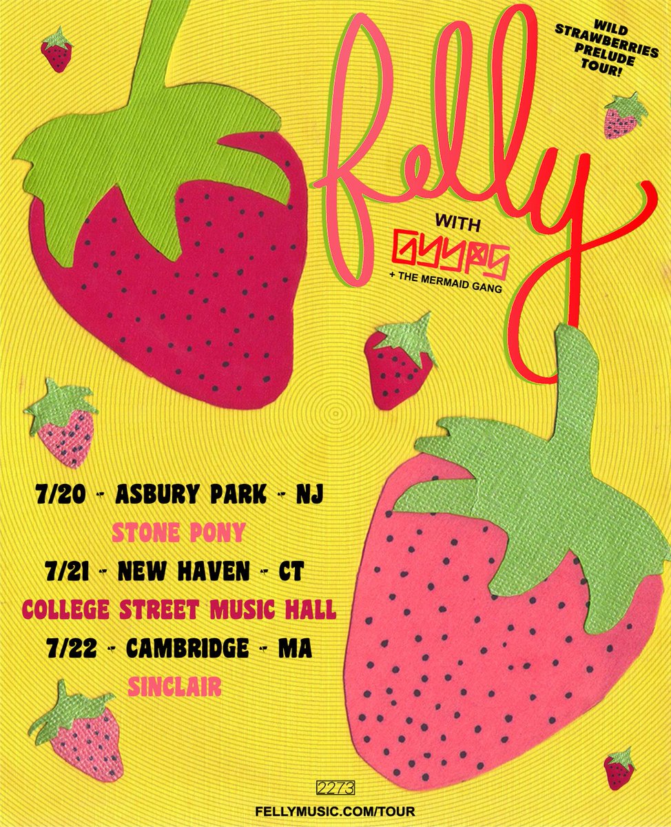 tickets go on sale this friday at 12 PM! who comin? fellymusic.com/tour