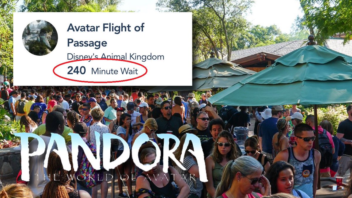 Massively long wait times await visitors to Disney's new Pandora land bit.ly/2qxSQFf https://t.co/bvCN4Yfu9Q