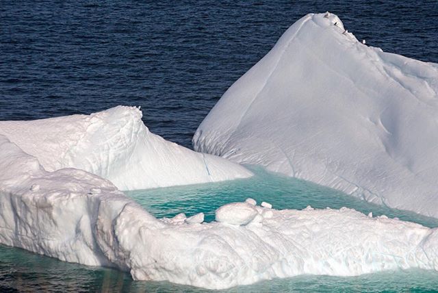 NewfoundlandLabrador tweet media