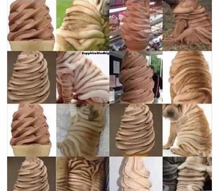 yummiesicecream's tweet photo. Fat doggo or ice cream? https://t.co/MeHmki11Ww
