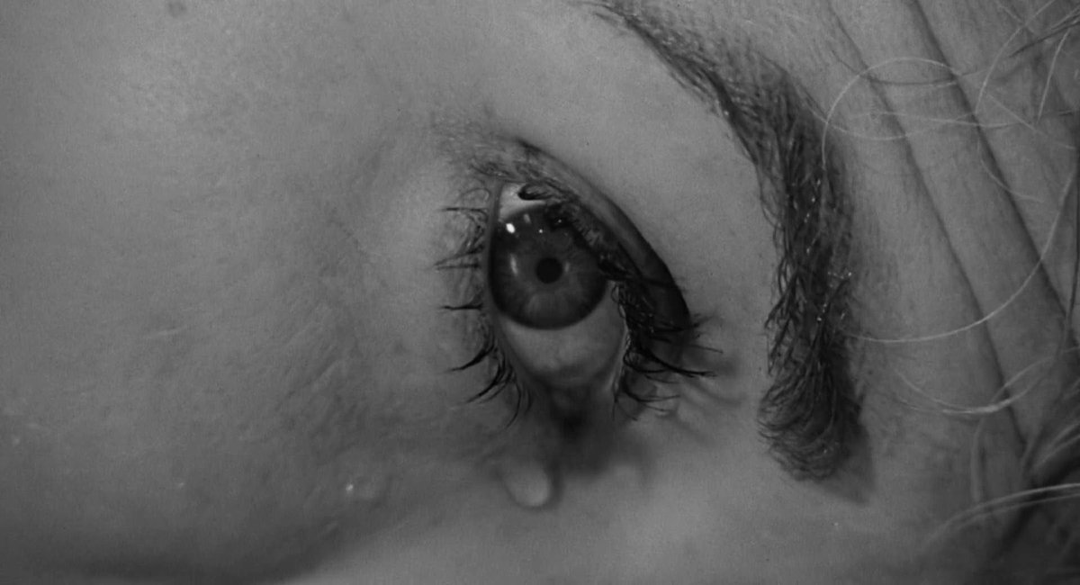 Psycho (1960) dir. Alfred Hitchcock
