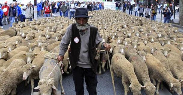 lucasaykal's tweet photo. Para todos ingenuos que hacen el juego a las lucrativas pretenciones políticas de los anarquistas #Mesina y #Riesco #NoMasAfp #MercadoDays https://t.co/X3LbsWf1Nc