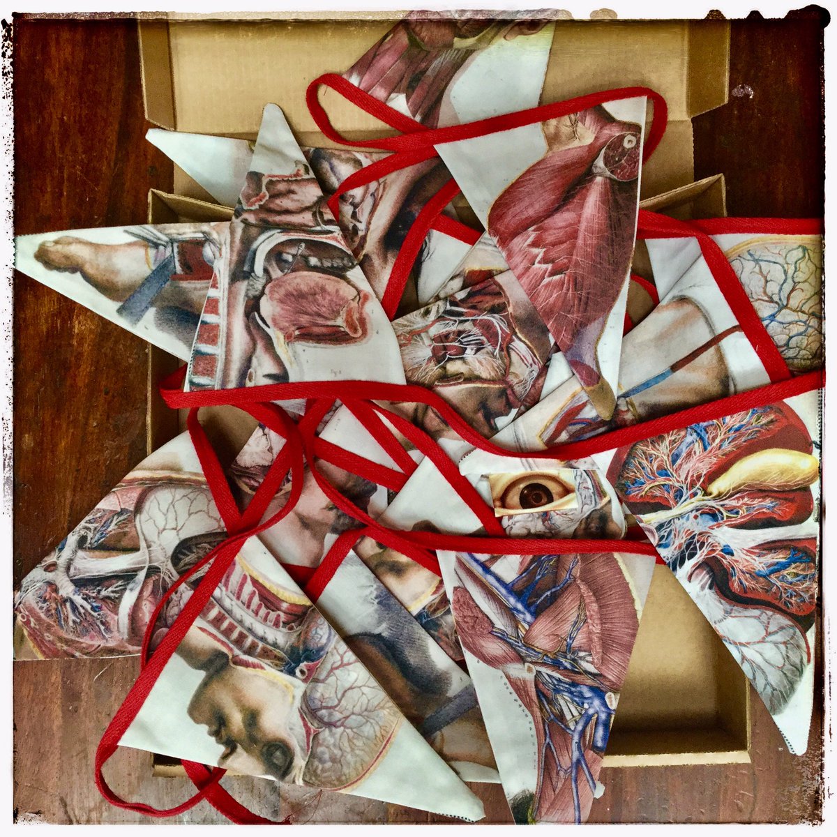 A gift to the gods..20ft of #Anatomical #MedicalPlate flesh bunting in a box for the #MudlarkGod ..