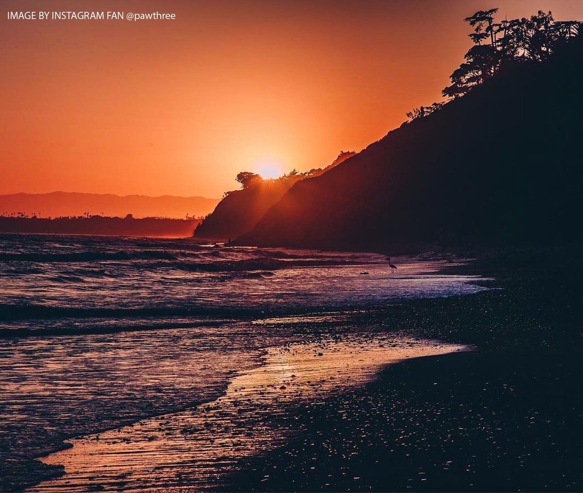 SantaBarbara tweet picture