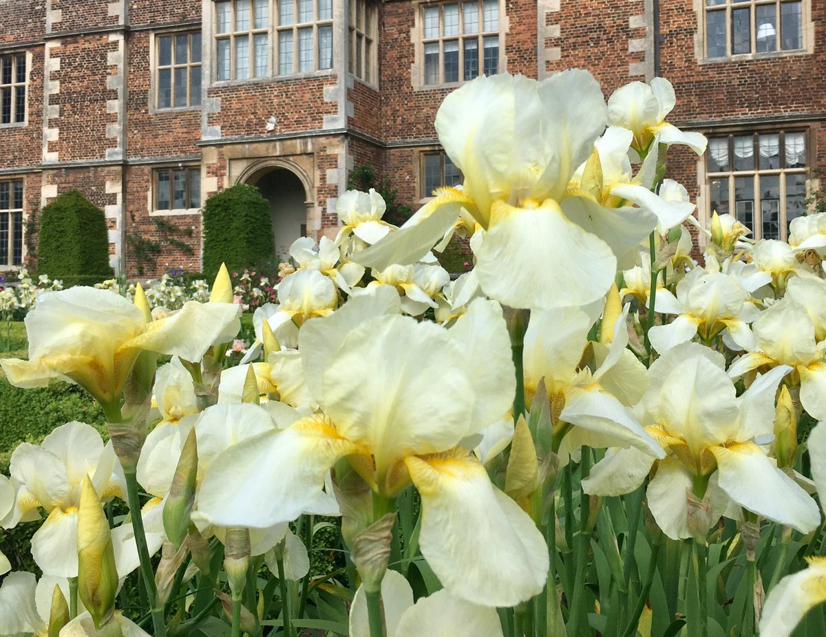 DoddingtonHall's tweet photo. Red and yellow and pink and blue, here's a Doddington #Iris rainbow for you... #IrisWeek @visitlincoln #Lincoln #rainbow π https://t.co/YFozgRigJZ