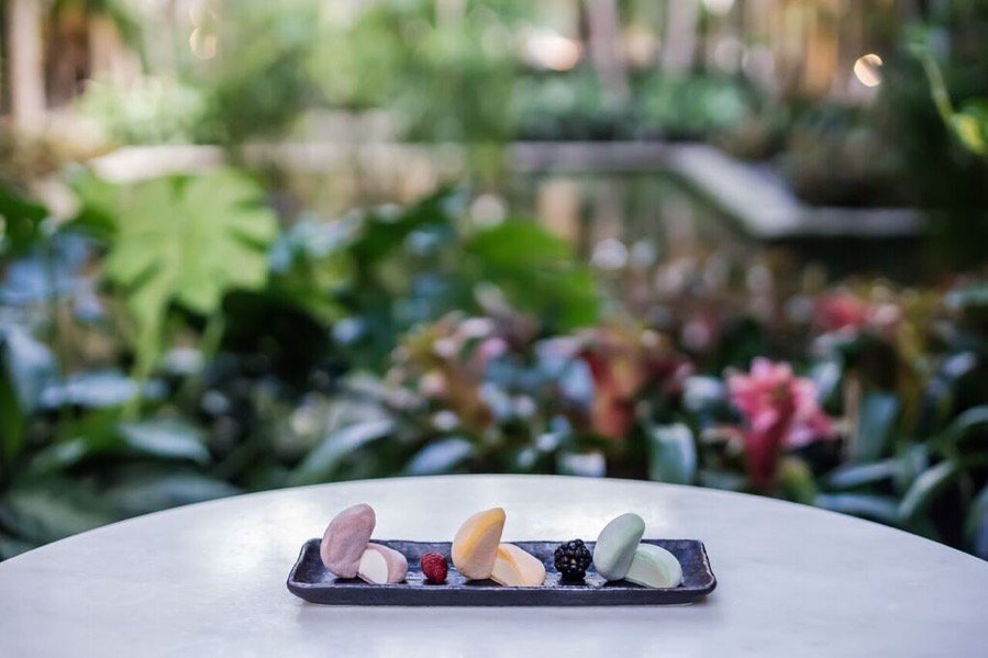 The perfect ending to your meal. | @andrewhektor