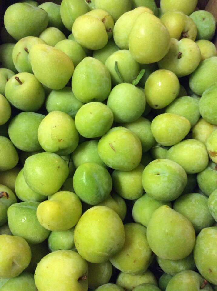 shopangelas's tweet photo. Green Plums! #shopangelas https://t.co/bUTG0whDng