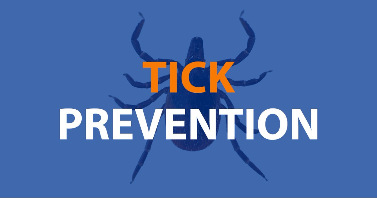 UNHExtension's tweet photo. Tuck in your pants, and other ways to prevent #tick bites: https://t.co/mh0N14YWWA #LymeDiseaseAwareness #LymeDisease #LymeInNH https://t.co/5D2NuLPzJe