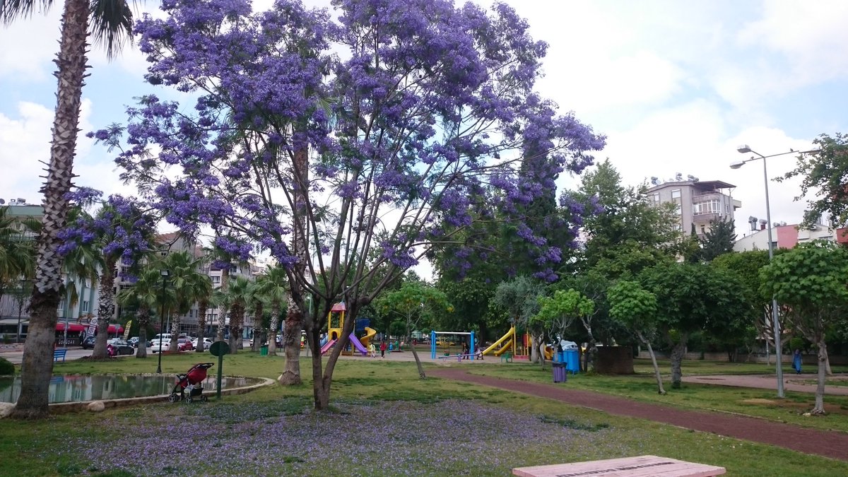 Bir yılda dört mevsim vardır: Kış, İlkbahar, Yaz ve Renk! 🍃
