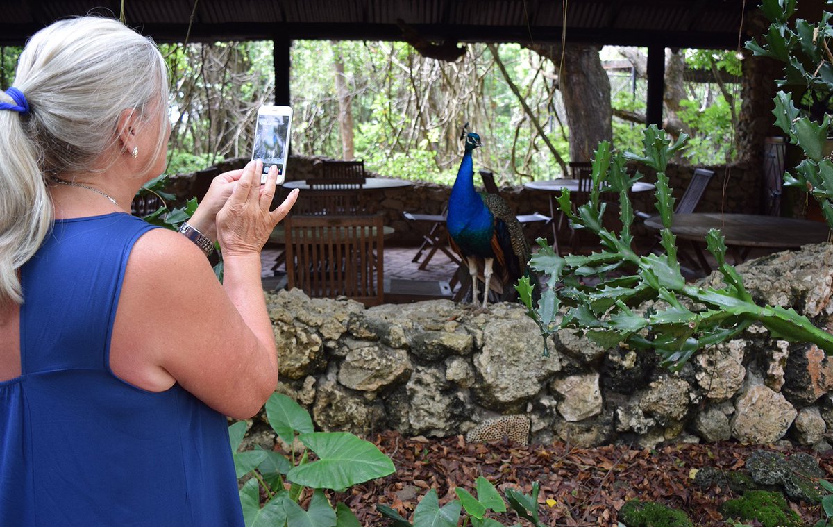 SuntoursB's tweet photo. Moments like these you want to capture. Join us &amp; visit some of Barbados' most popular attractions #suntoursbarbados https://t.co/JD2FSxNkzA https://t.co/rPaaB2F9iZ