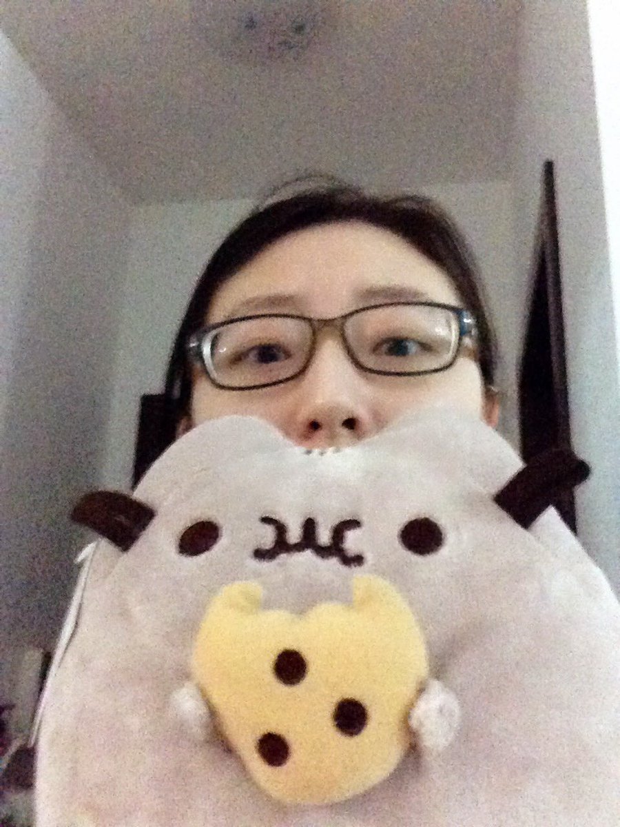 imengcry's tweet image. 手感超好！！！
可爱的胖吉猫(✪ω✪)