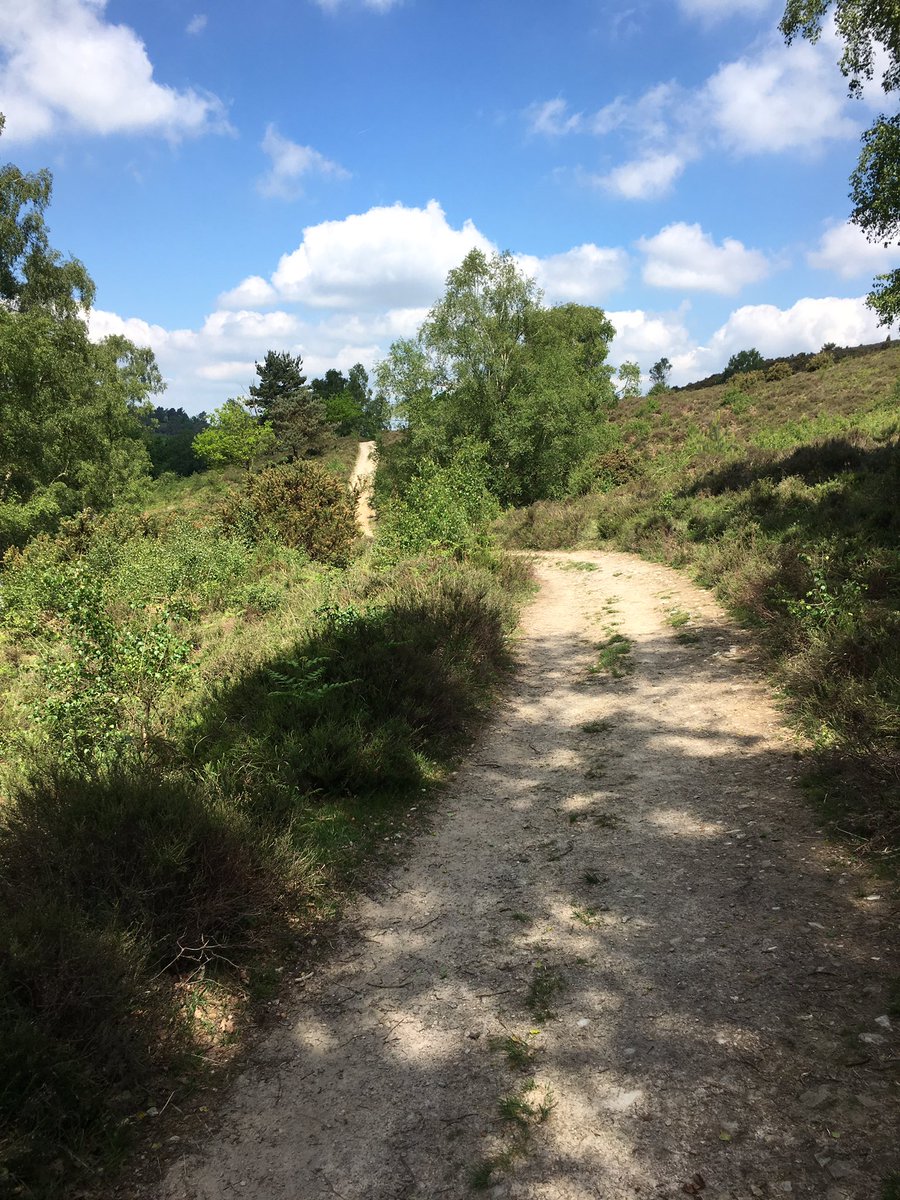 Expectation and judgement have polluted mine and many others minds - let these go don't let them corrupt my mind #tuesdaythought #path #life