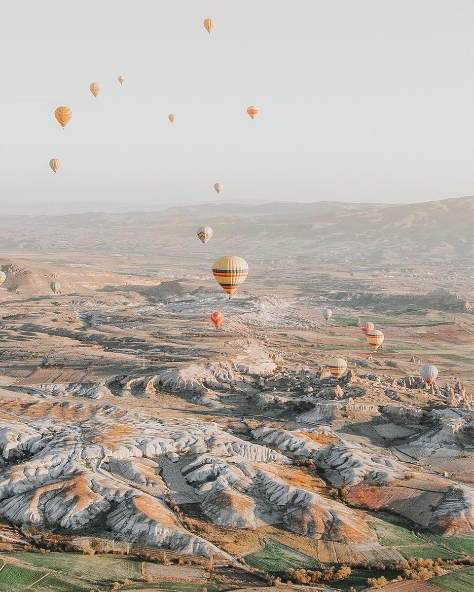 Savoteur tweet media