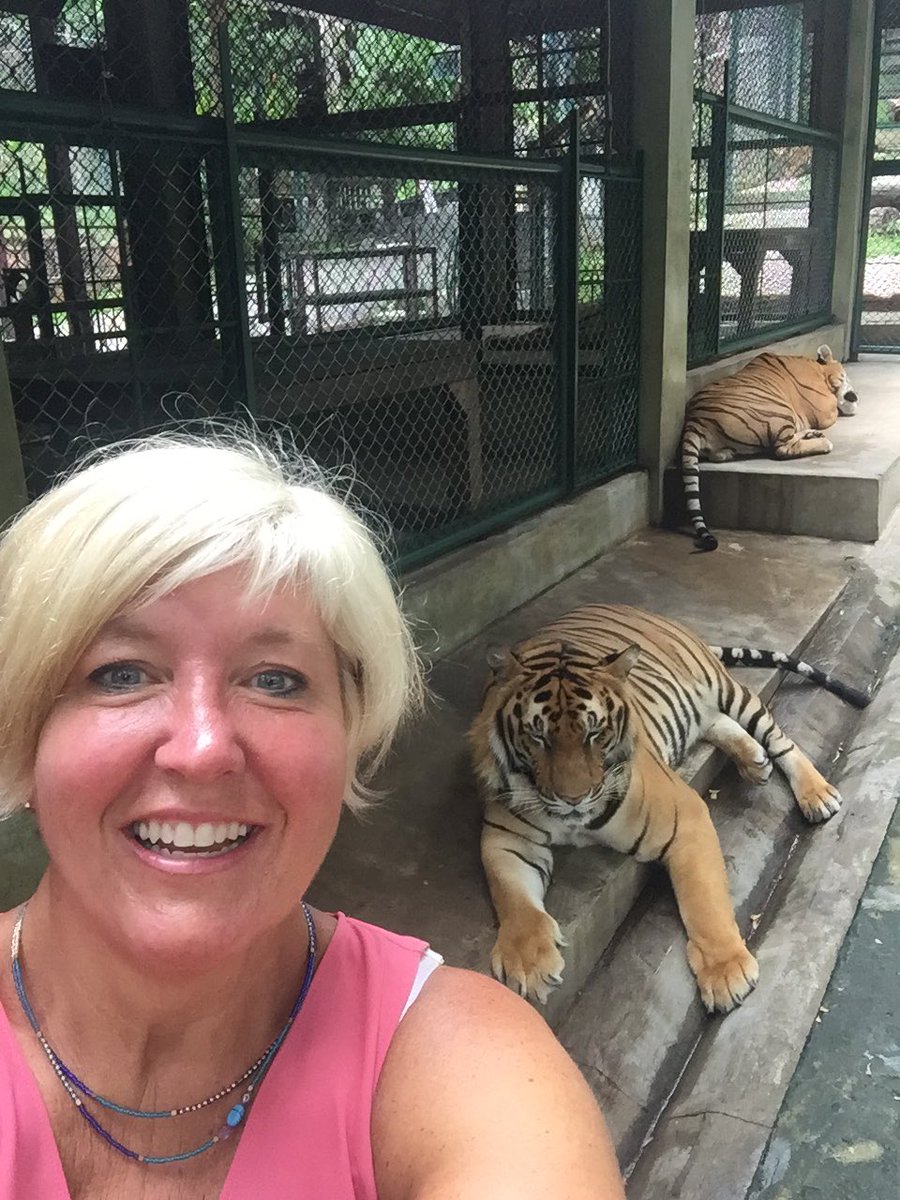 JaneD137's tweet photo. Made some new feline friends today..... #tigeradventure #inthecage #amazing https://t.co/ag2vCP0CuF