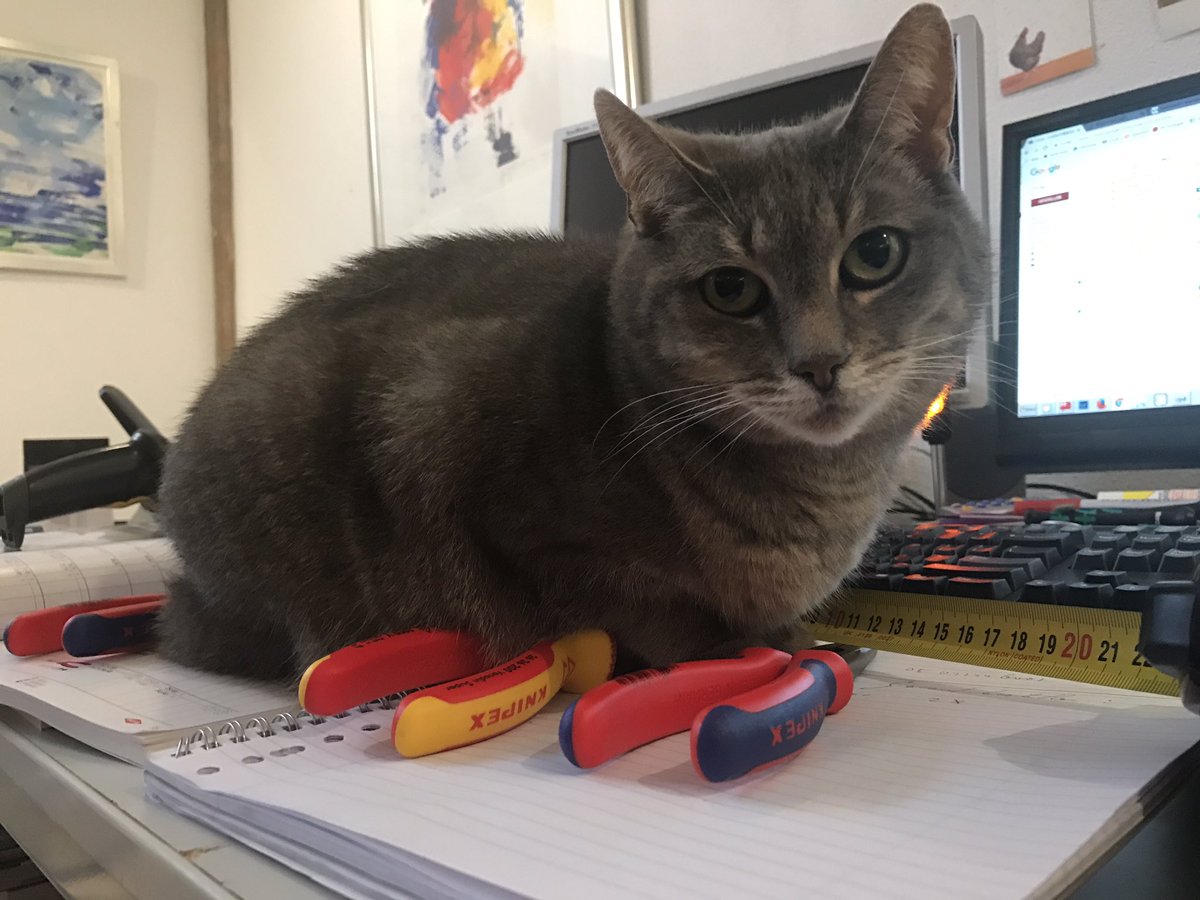 MadevToolsNL's tweet photo. Zo kan je de KNIPEX tangen nooit invoeren... https://t.co/ZmBNZq4ixN