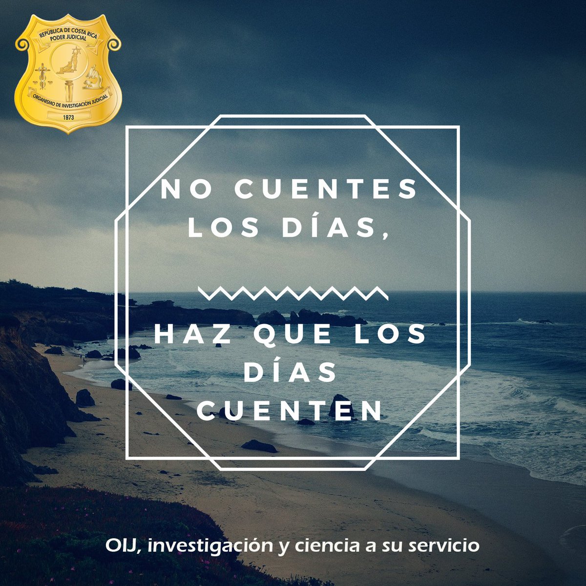 oij_Organismo's tweet photo. Hoy es el mejor día para lograr el éxito. Que tengan un buen día: https://t.co/pMkruPdgif