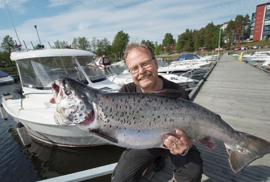 VF_se's tweet image. FISKELYCKA: VF:s fotograf Håkan Strandman fiskade upp jättelax i Vänern
vf.se/karlstad/vf-fo…